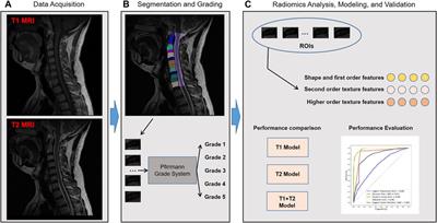 MRI radiomics-based decision support tool for a personalized classification of cervical disc degeneration: a two-center study